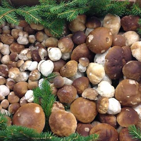 Thal  Charmantes Landhaus Mit Garten Und Traumhaftem Fernblick מראה חיצוני תמונה