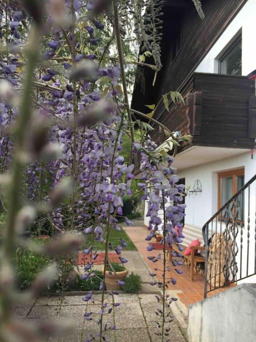 Thal  Charmantes Landhaus Mit Garten Und Traumhaftem Fernblick מראה חיצוני תמונה