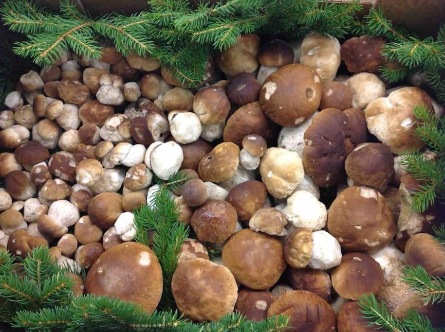 Thal  Charmantes Landhaus Mit Garten Und Traumhaftem Fernblick מראה חיצוני תמונה