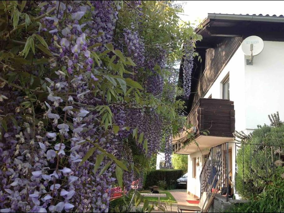 Thal  Charmantes Landhaus Mit Garten Und Traumhaftem Fernblick מראה חיצוני תמונה