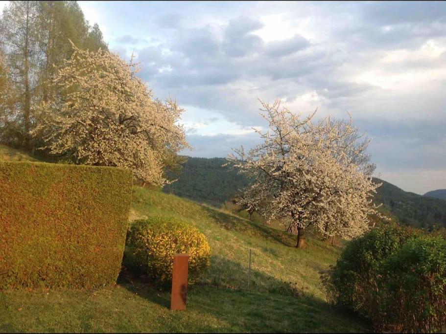 Thal  Charmantes Landhaus Mit Garten Und Traumhaftem Fernblick מראה חיצוני תמונה