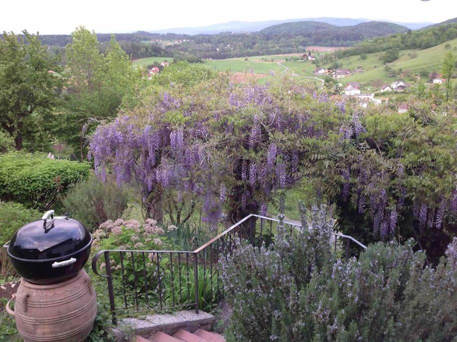 Thal  Charmantes Landhaus Mit Garten Und Traumhaftem Fernblick מראה חיצוני תמונה